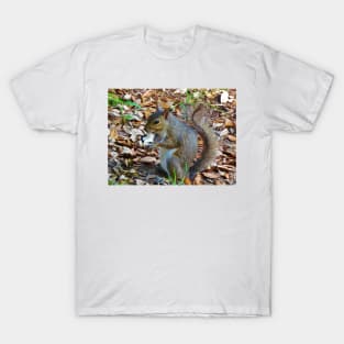 Happy Squirrel T-Shirt